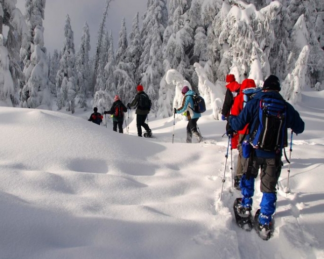  Salida nocturna con raquetas de nieve 